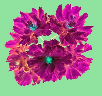F 054A